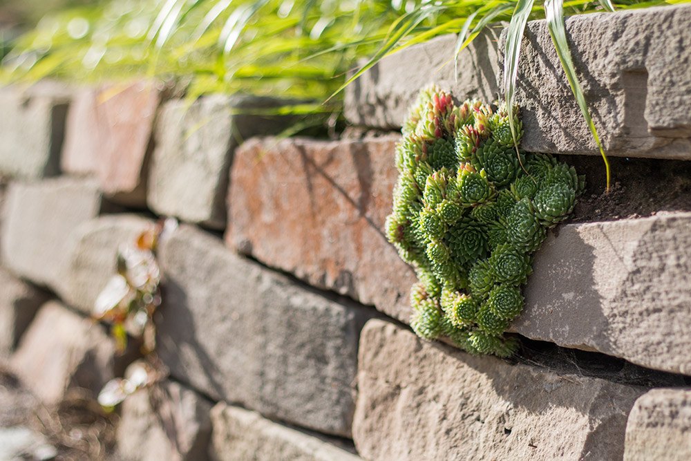Projekt für Zanders Gartenbau